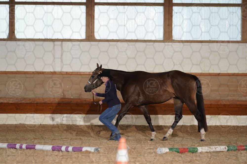 s_A9_07085.jpg